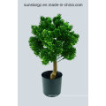 PE Podocarpus Bonsai Artificial Plant with Pot for Home Decoration (51033)